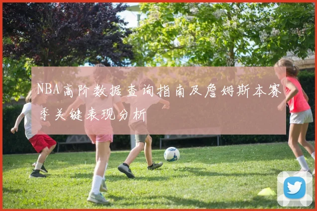 NBA高阶数据查询指南及詹姆斯本赛季关键表现分析