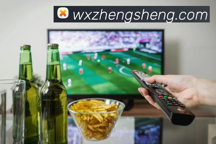 登录器